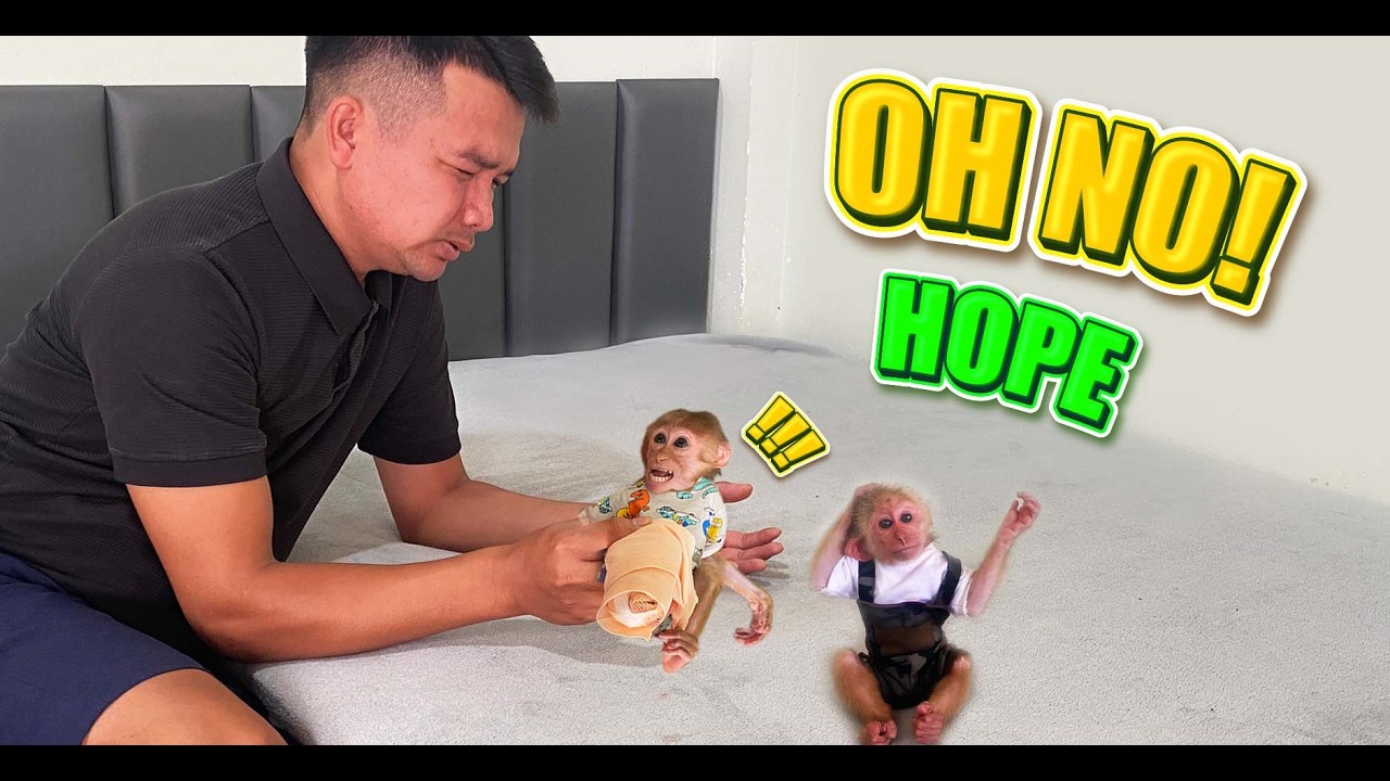 Unexpected Moment! Hope’s Bandage Slipped While Playing With Jobi