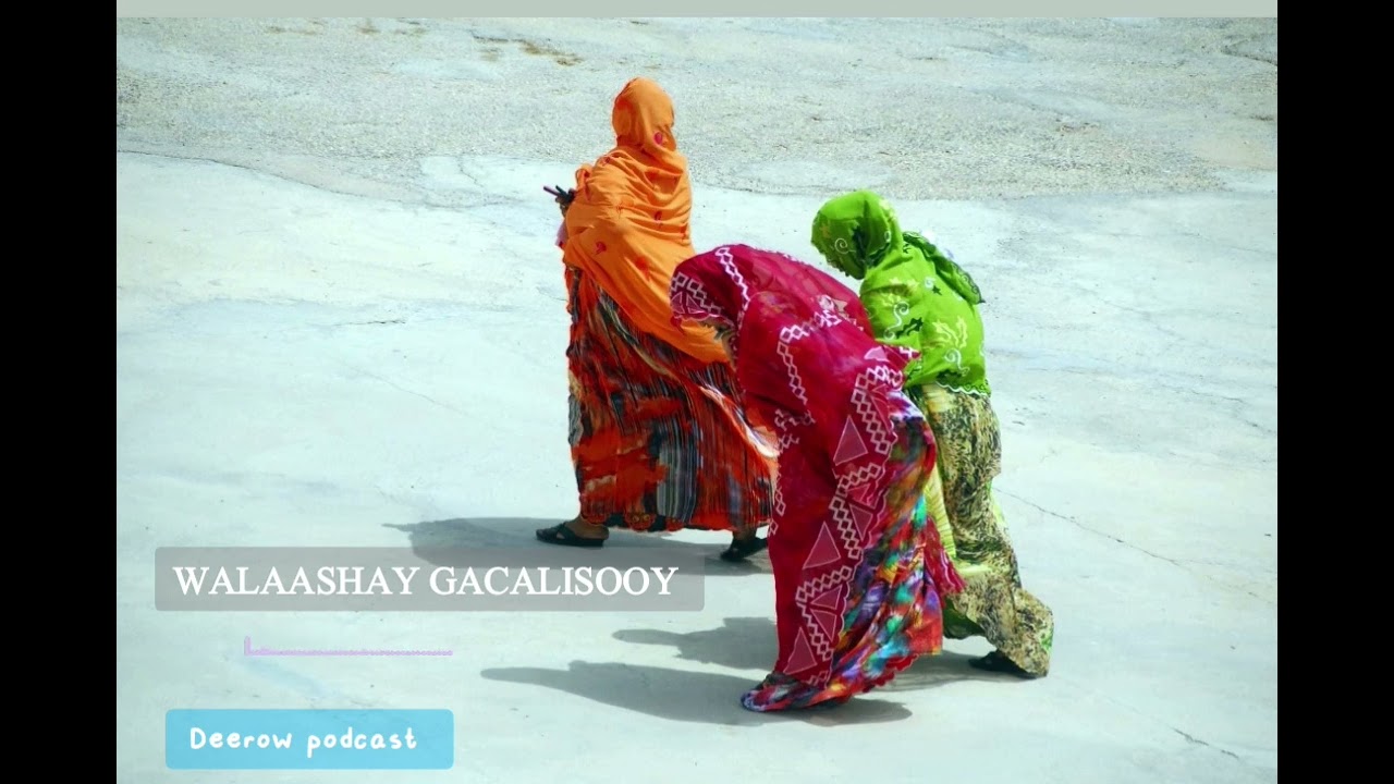 WALASHAY GACALISOOY | hees | xigasho axmed c.cigaal.