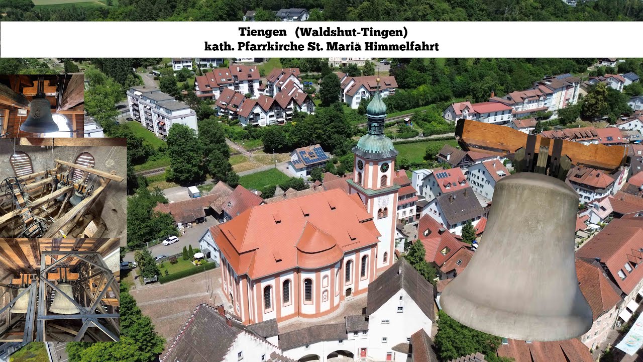 Tiengen (Waldshut-Tiengen) [D.-WT] - kath. Pfarrkirche St. Mariä Himmelfahrt, Geläutepräsentation