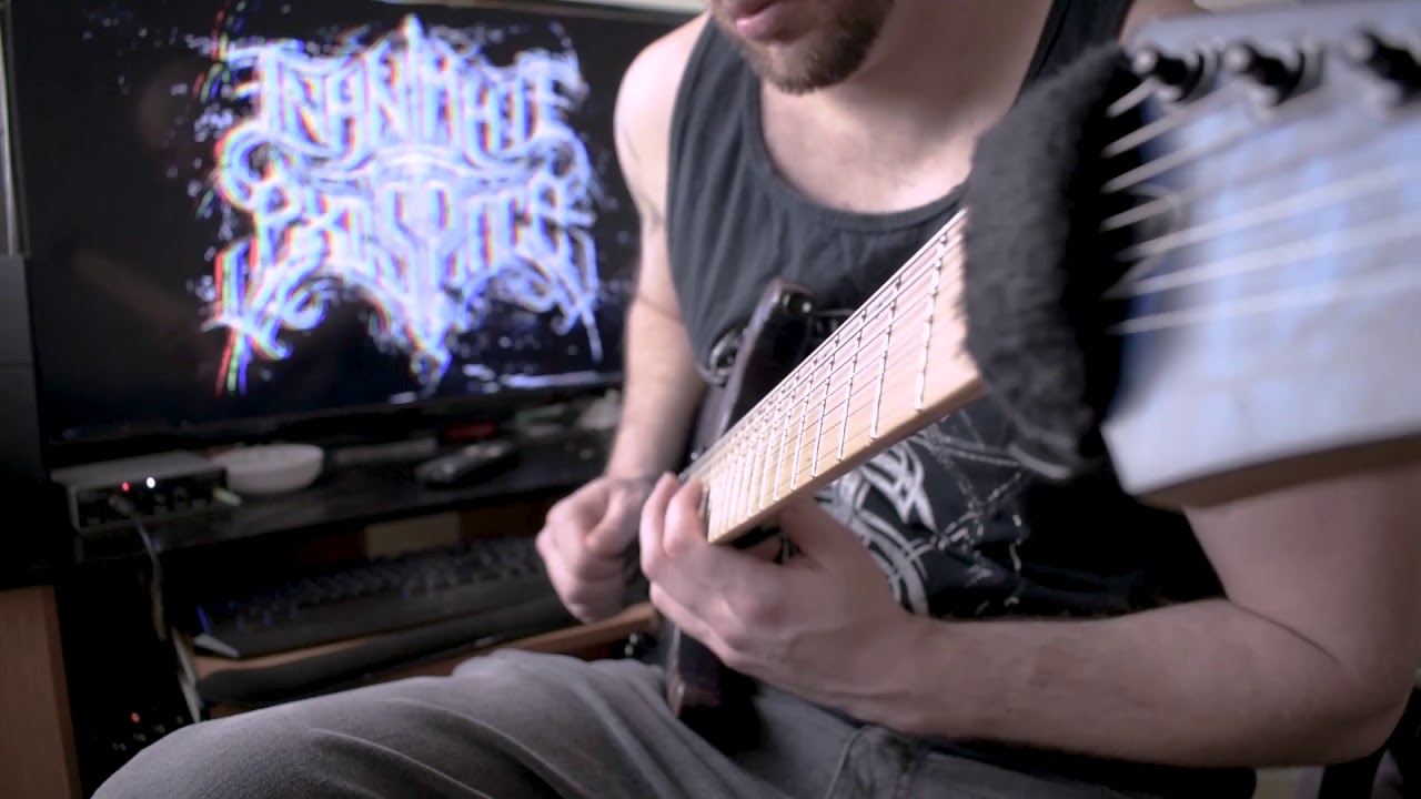 INANIMATE EXISTENCE - Blood of the Beggar [Guitar Playthrough 2019]