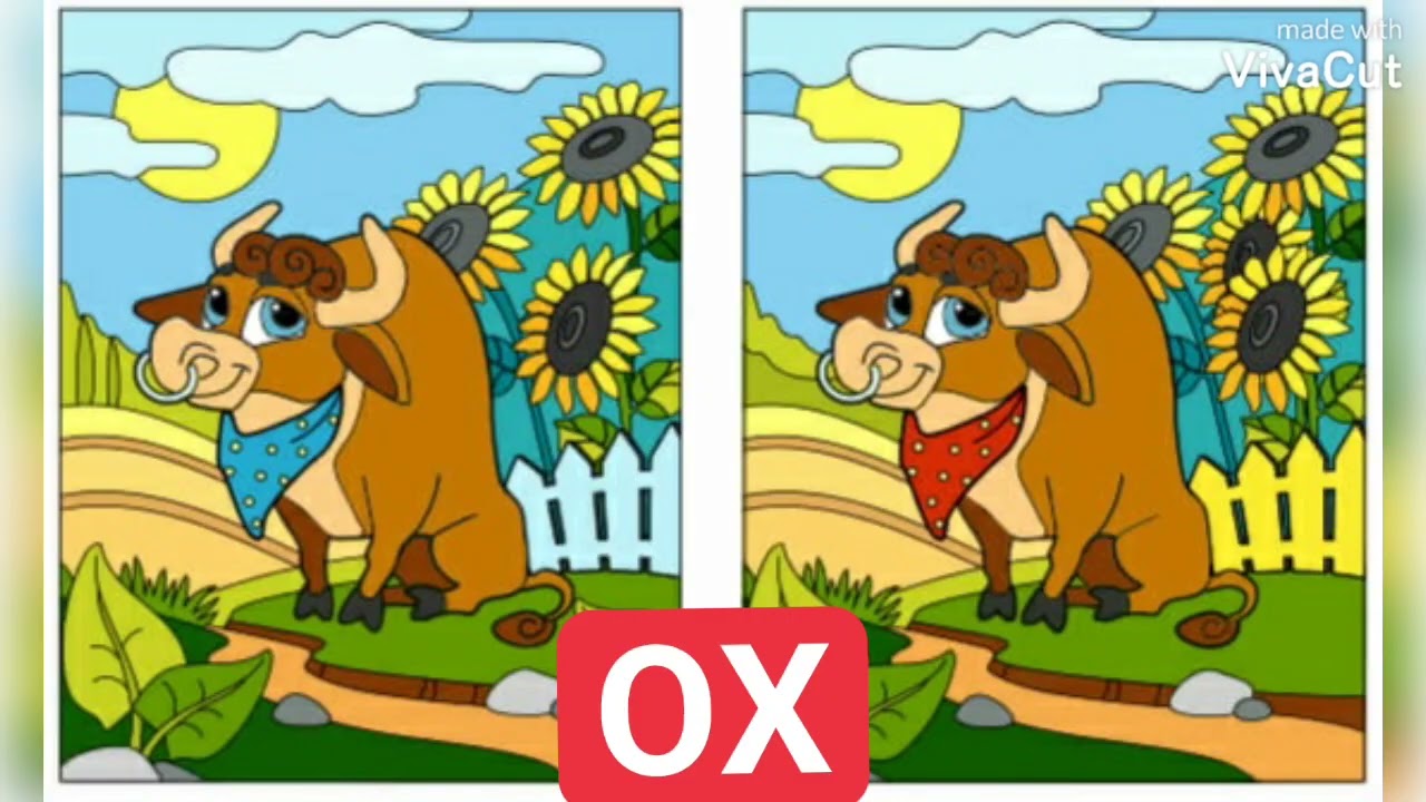 find difference،Learn animal names 
