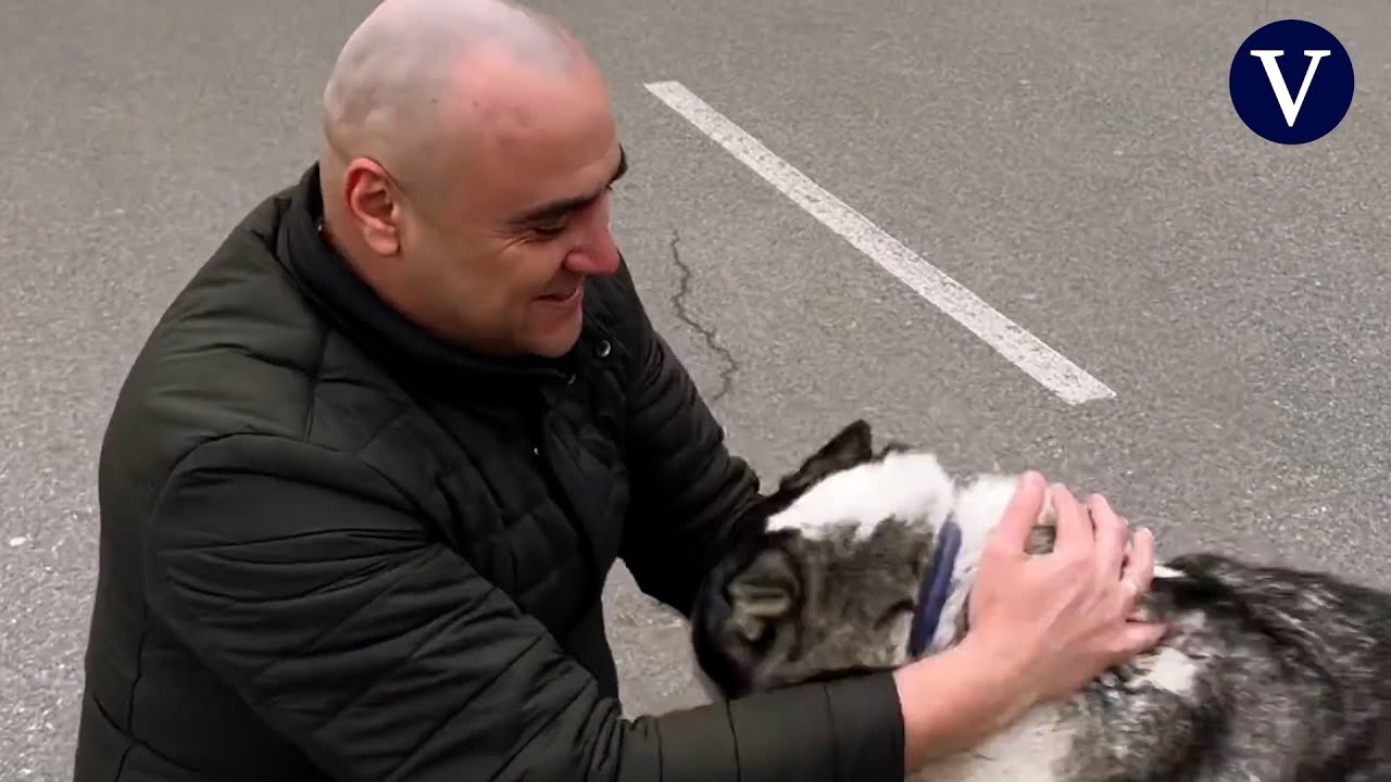 El conmovedor reencuentro de un perro con su dueño después de la masacre de Bucha
