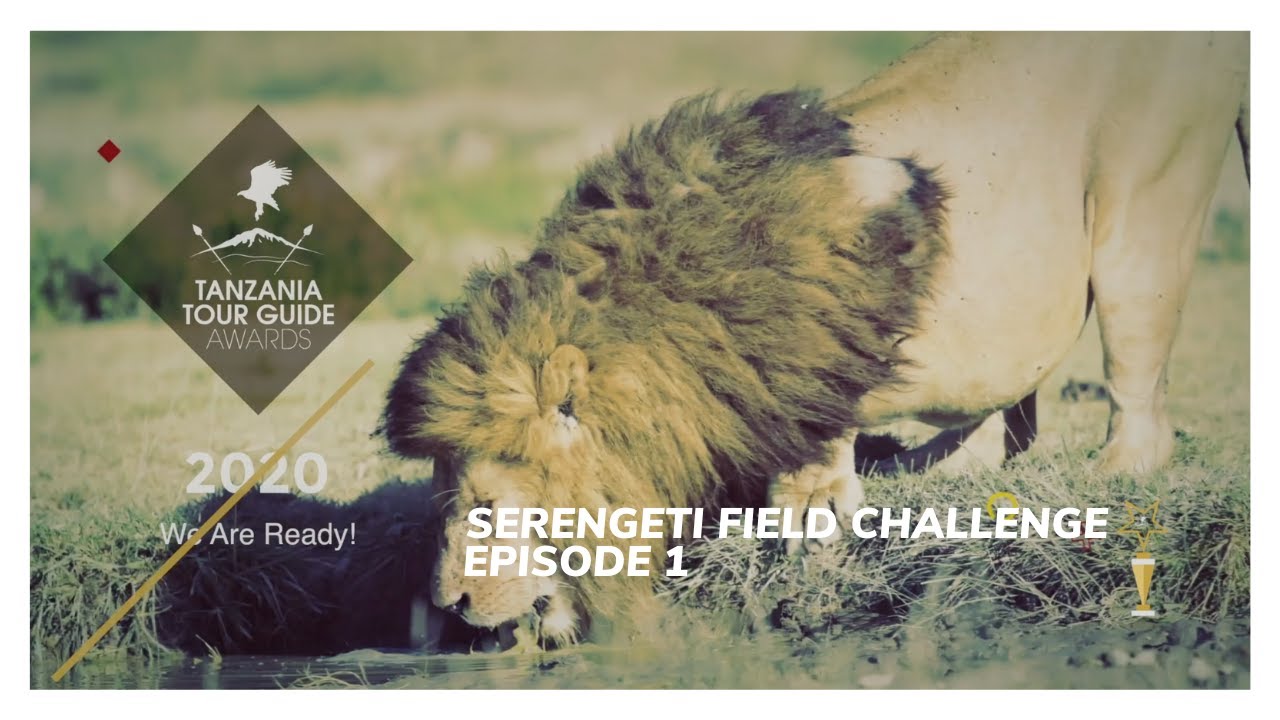 Ziada Travels - Tanzania Tour Guides Awards Challenge 2020
