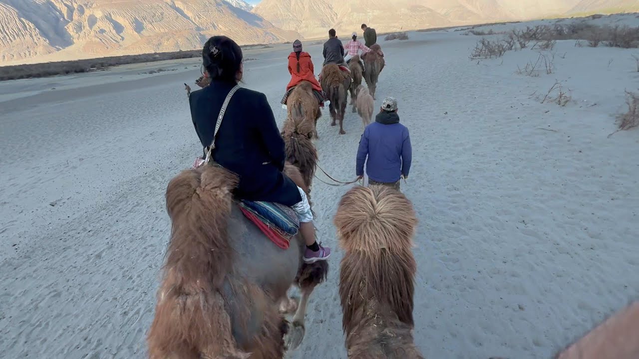 NUBRA MAIN FIRST TIME ATV RIDE + CAMEL RIDE EXPERIENCE WITH FAMILY.