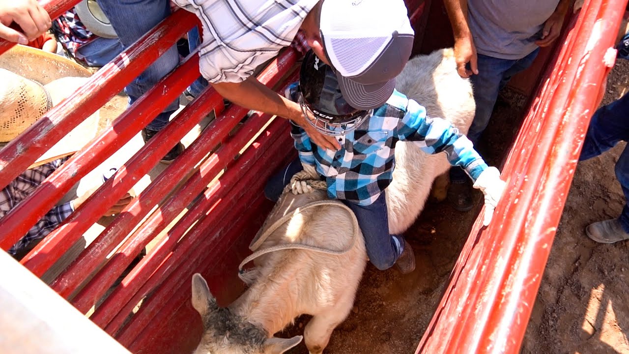 EIGHT YEAR OLD BULL RIDER | THESE KIDS ARE FEARLESS