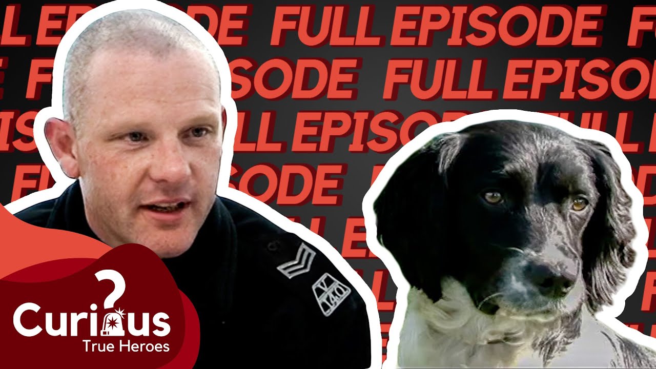 A Quiet Night Turns Into Brawl | Coastline Cops | FULL EPISODE | Curious?: True Heroes