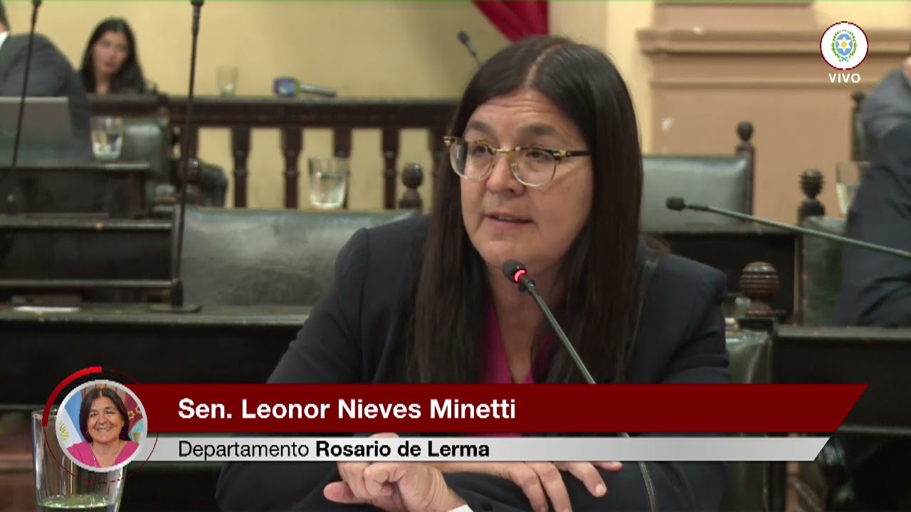 Senadora Leonor Minetti - Elecciones