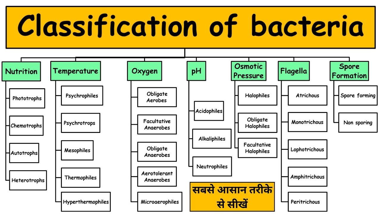 Classification of Bacteria | On the Basis of Nutrition, Oxygen,  Flagella, pH,  etc