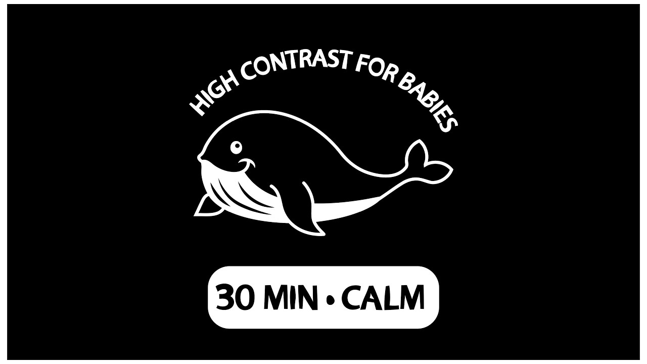 High Contrast Ocean Video for Babies | 30 Minutes