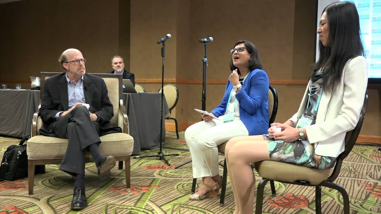 Interview - A Conversation with Dan Levinthal - 2016 - SMS Knowledge & Innovation Interest Group