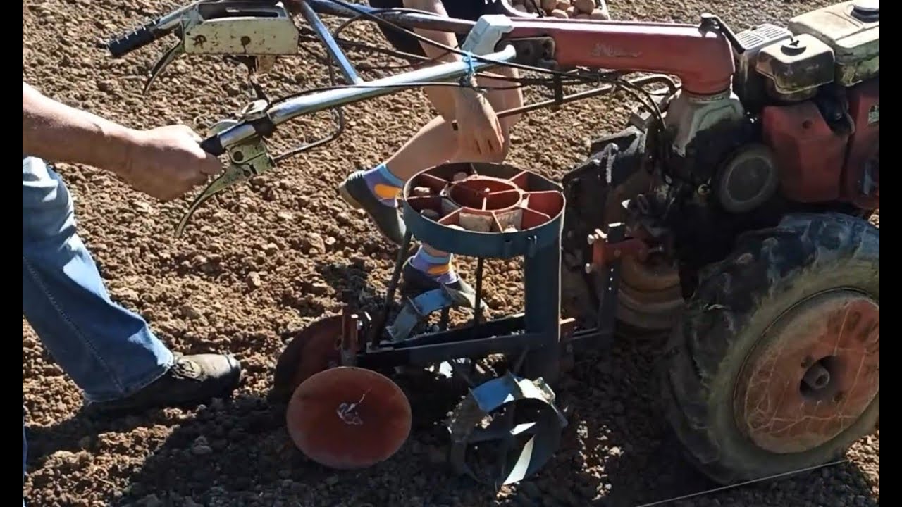 On plante les pommes de terre (2024)