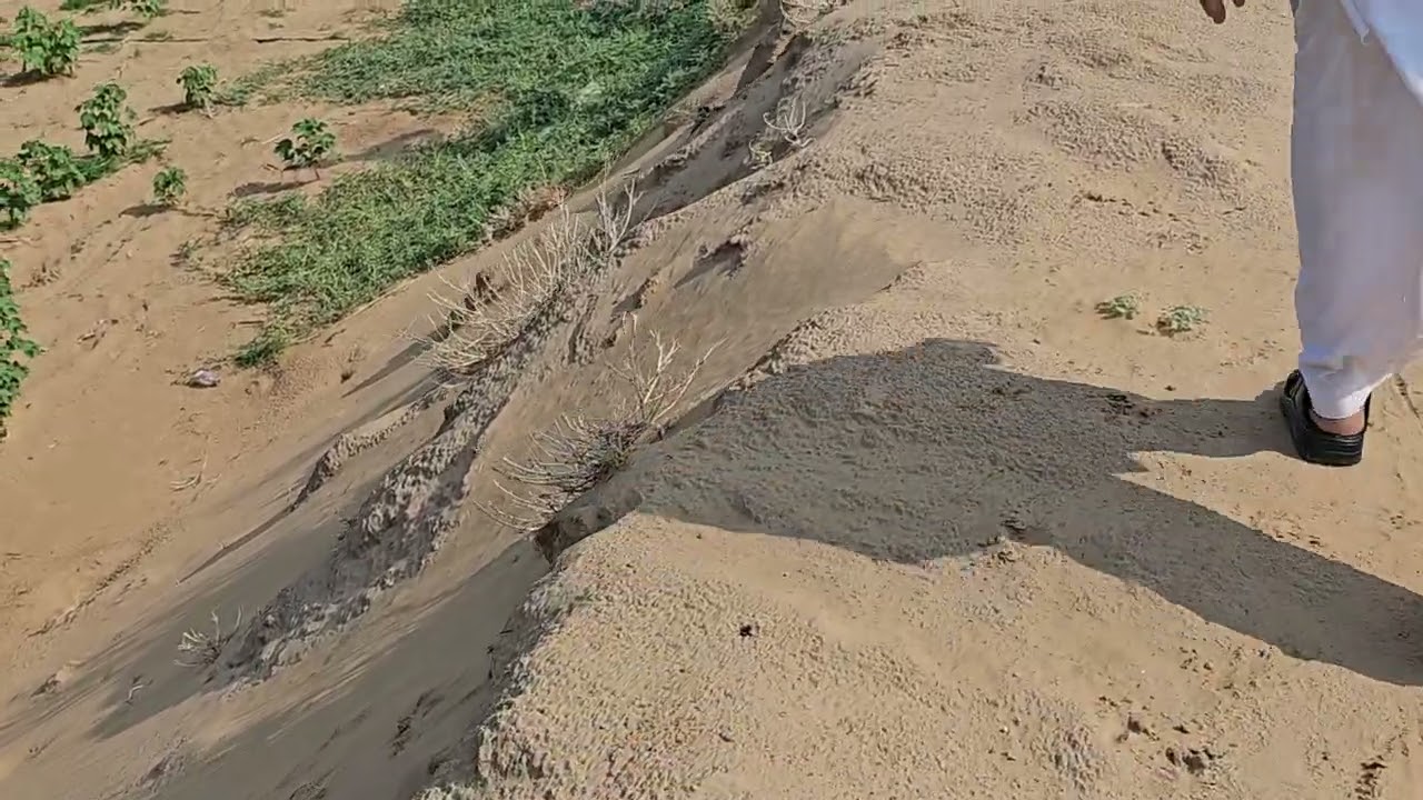 सूरतगढ़ ओपन रजिस्ट्रेशन 706282 4444 जमीन बिकाऊ