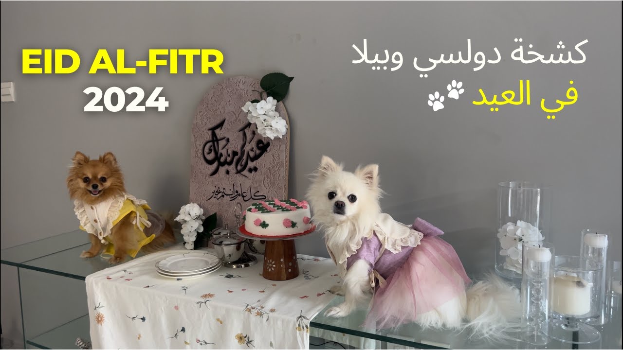Eid Al-Fitr 2024 | 🐾 صباح عيد الفطر مع دولسي وبيلا