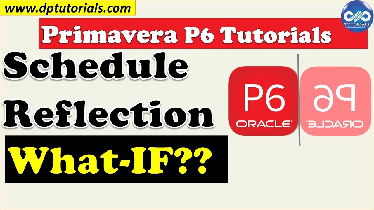What is Reflection in Primavera P6 and How to Use it || Primavera Tricks || dptutorials