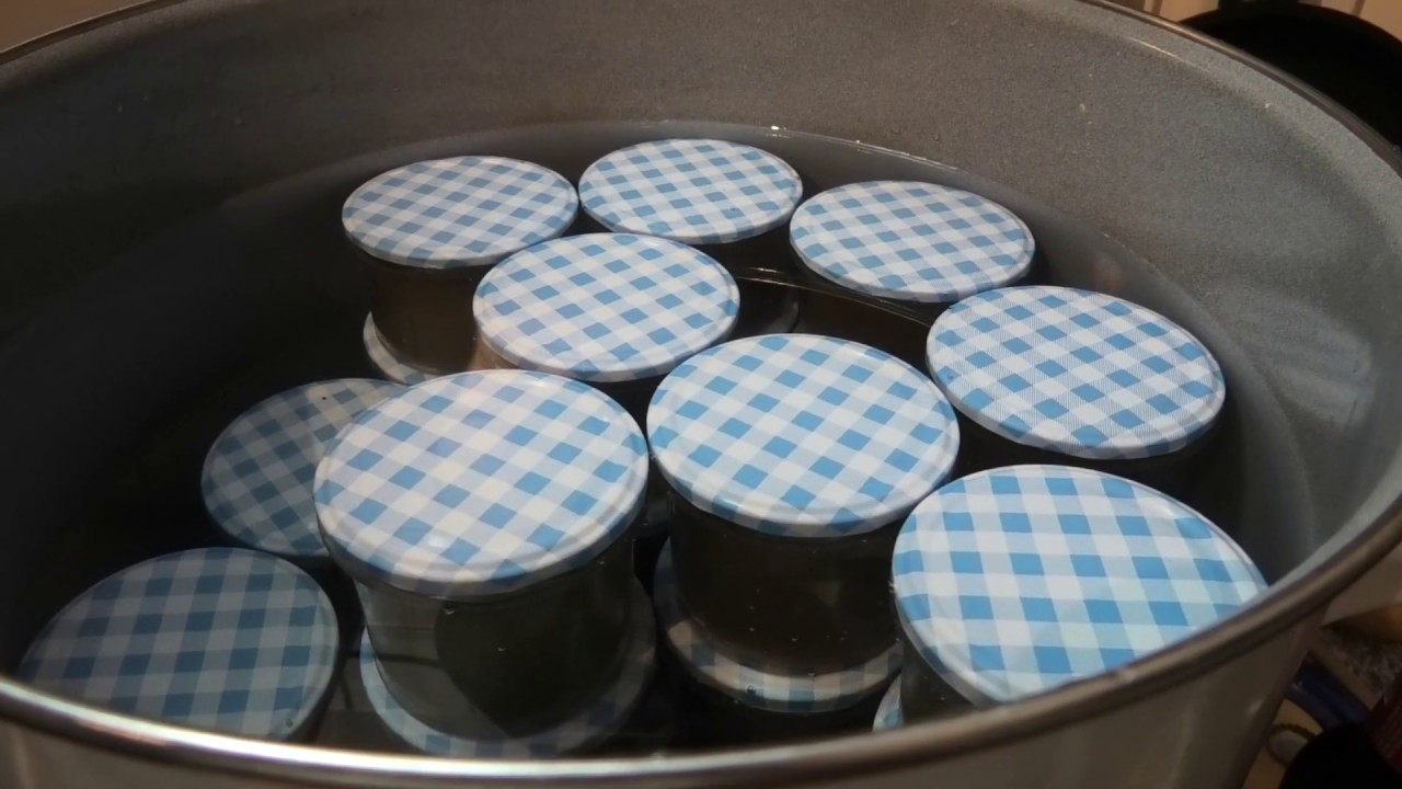 Wildfond selbstgemacht - 100% Geschmack in einem Glas