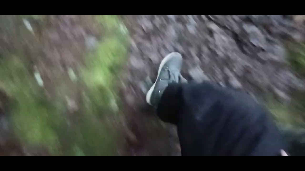 Random forest exploration*found abandoned house*