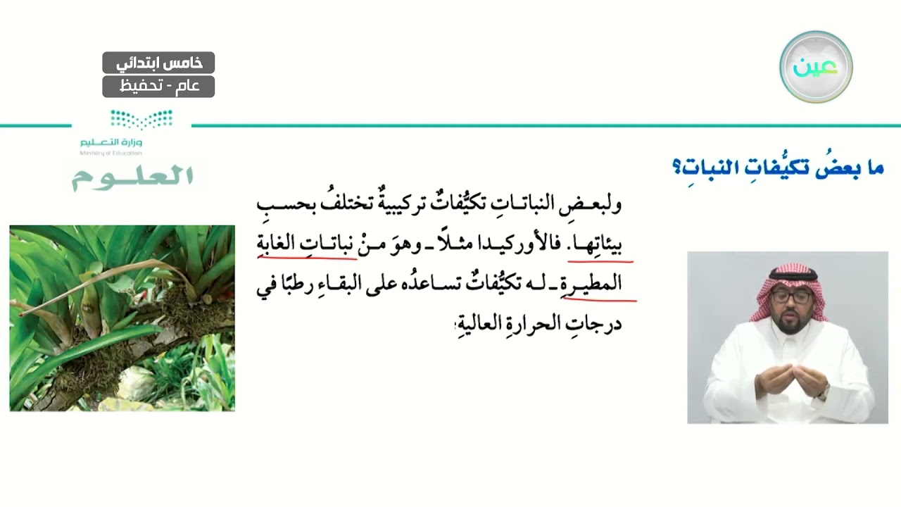 ما بعض تكيفات النباتات؟ - العلوم - خامس ابتدائي