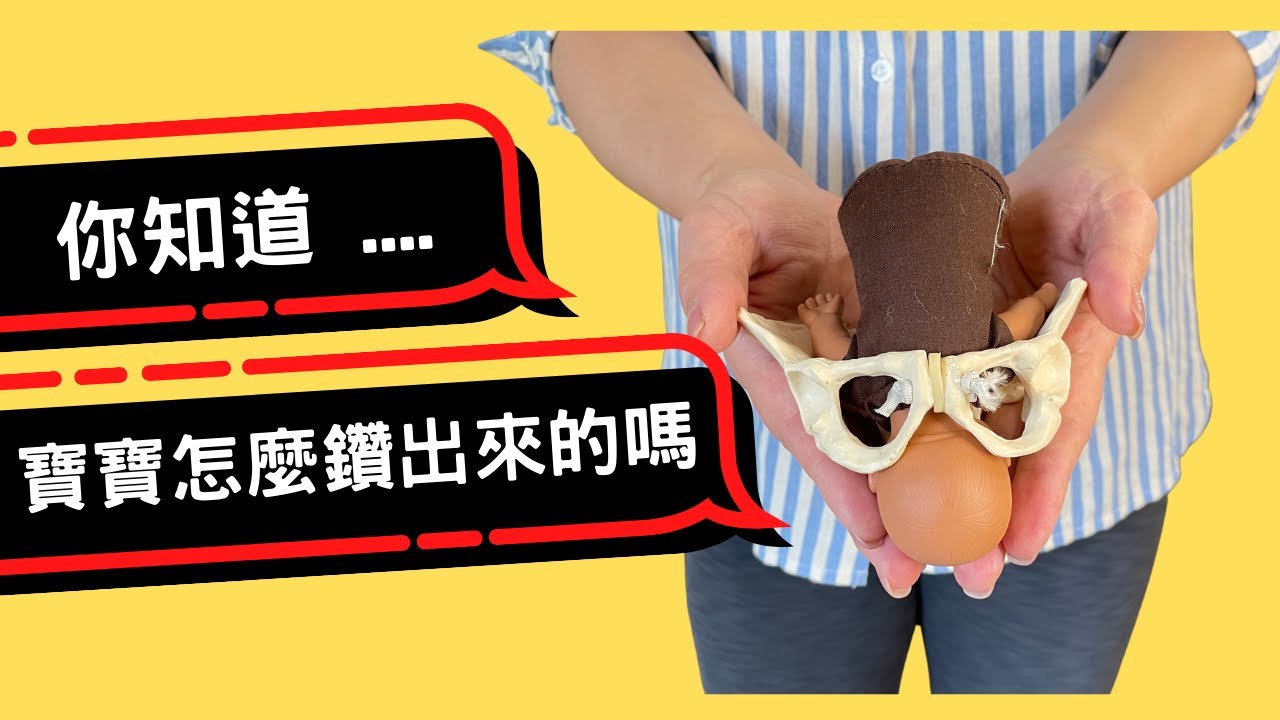 寶寶怎麼生出來的？How is a baby born? Mechanism of an Amazing Delivery!