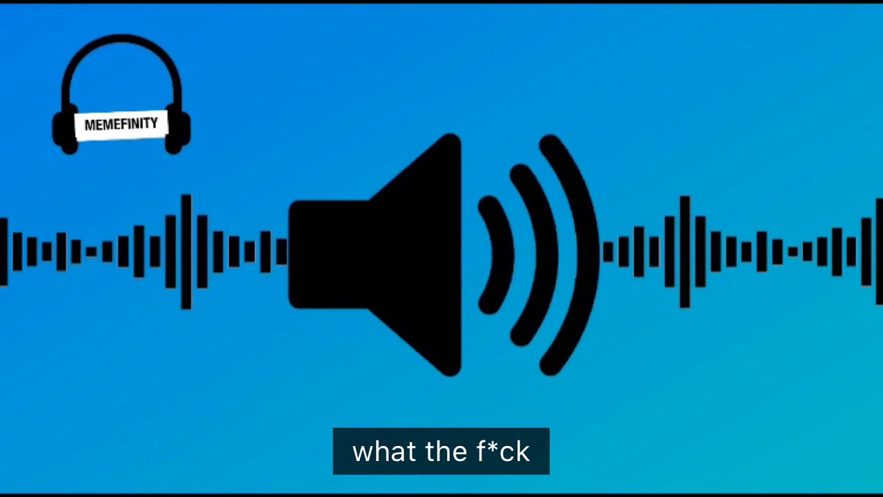 What the fu*k meme sound effect