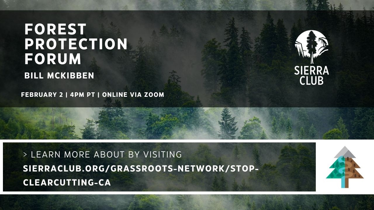 Stop Clearcutting CA | Forest Protection Forums | Bill McKibben