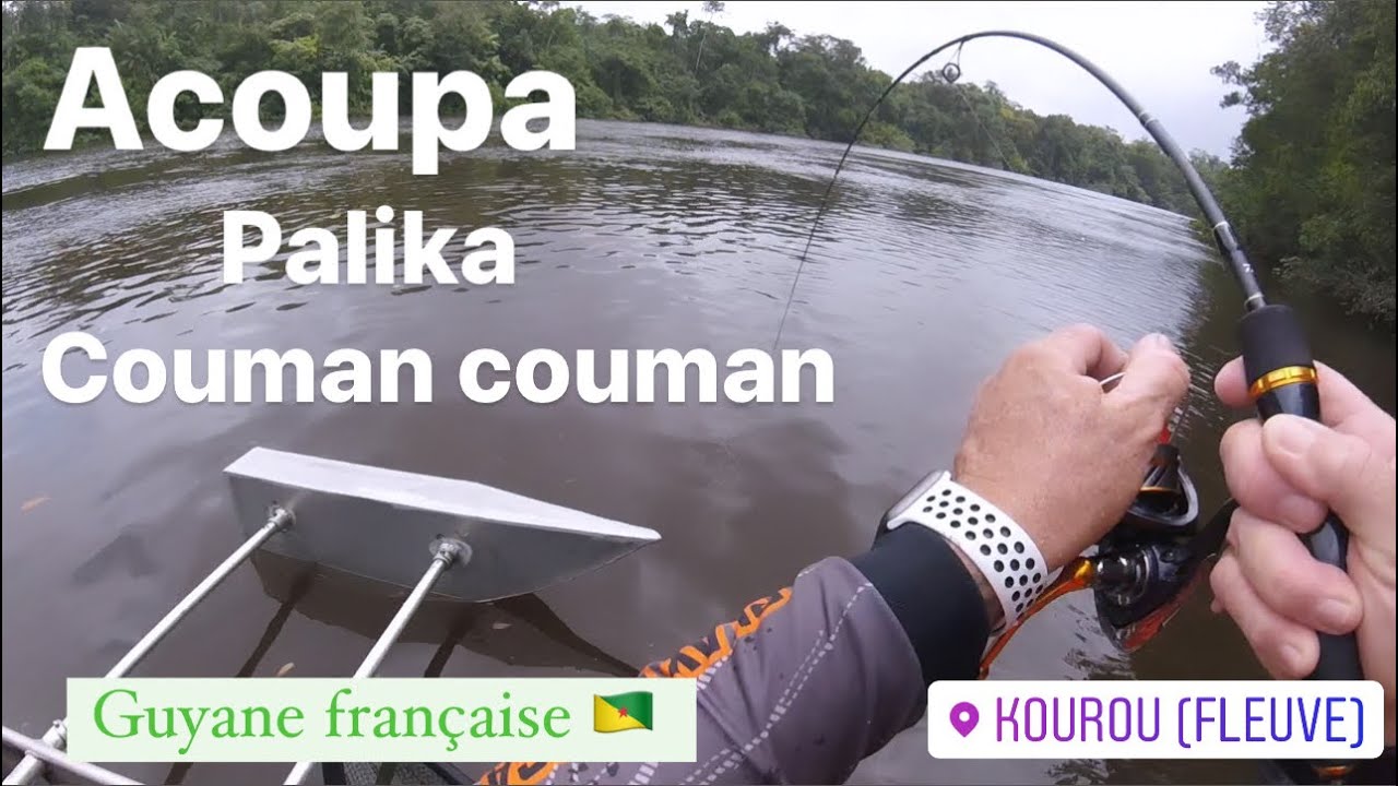 Pêche en Guyane. Acoupa ,palika,couman couman sur le kourou