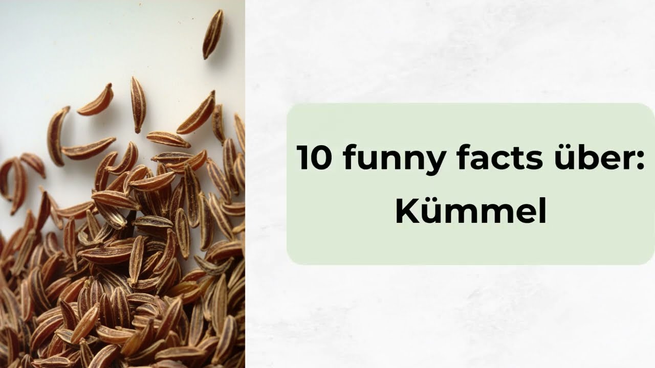 10 erstaunliche Fakten &uuml;ber K&uuml;mmel