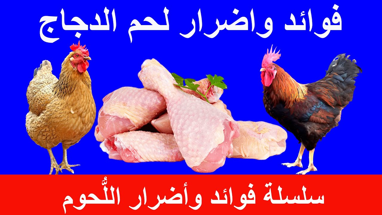 فوائد واضرار لحم الدجاج | هل لحم الدجاج له أضرار وهل يصلح لمريض السكري؟