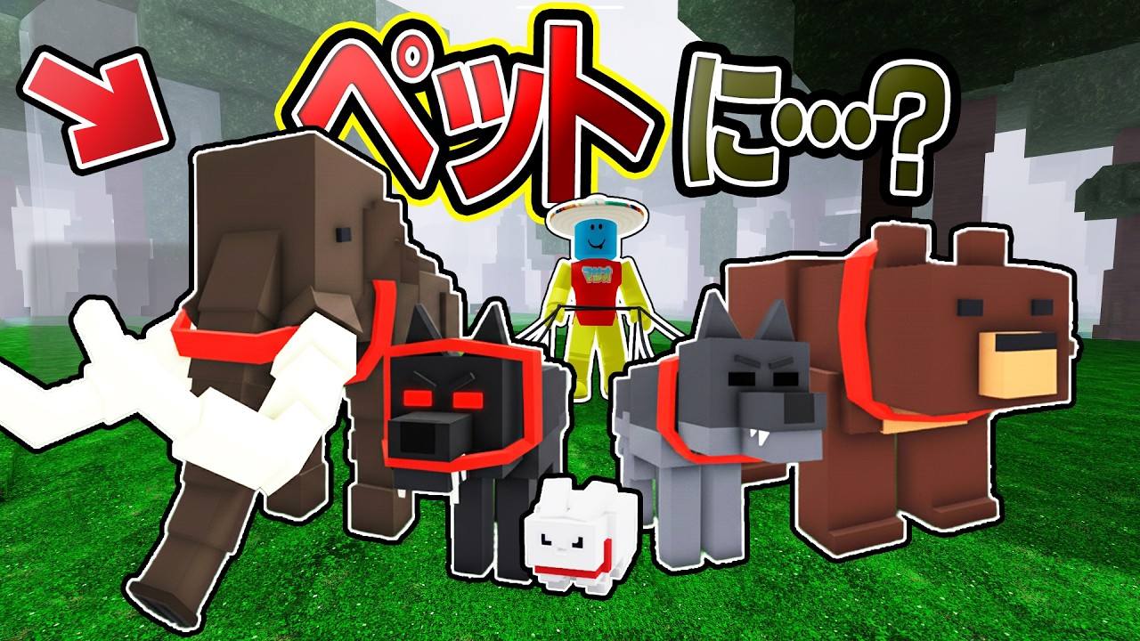 オオカミやクマをペットに！？99日生き残るのテイミングアプデがスゴすぎた【ロブロックス/99 Nights In The Forest】