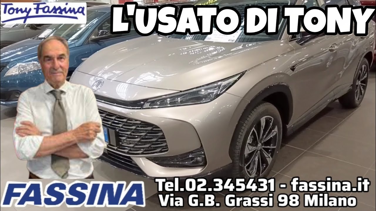 FASSINA CAR VILLAGE: USATO,AZIENDALI E KM ZERO