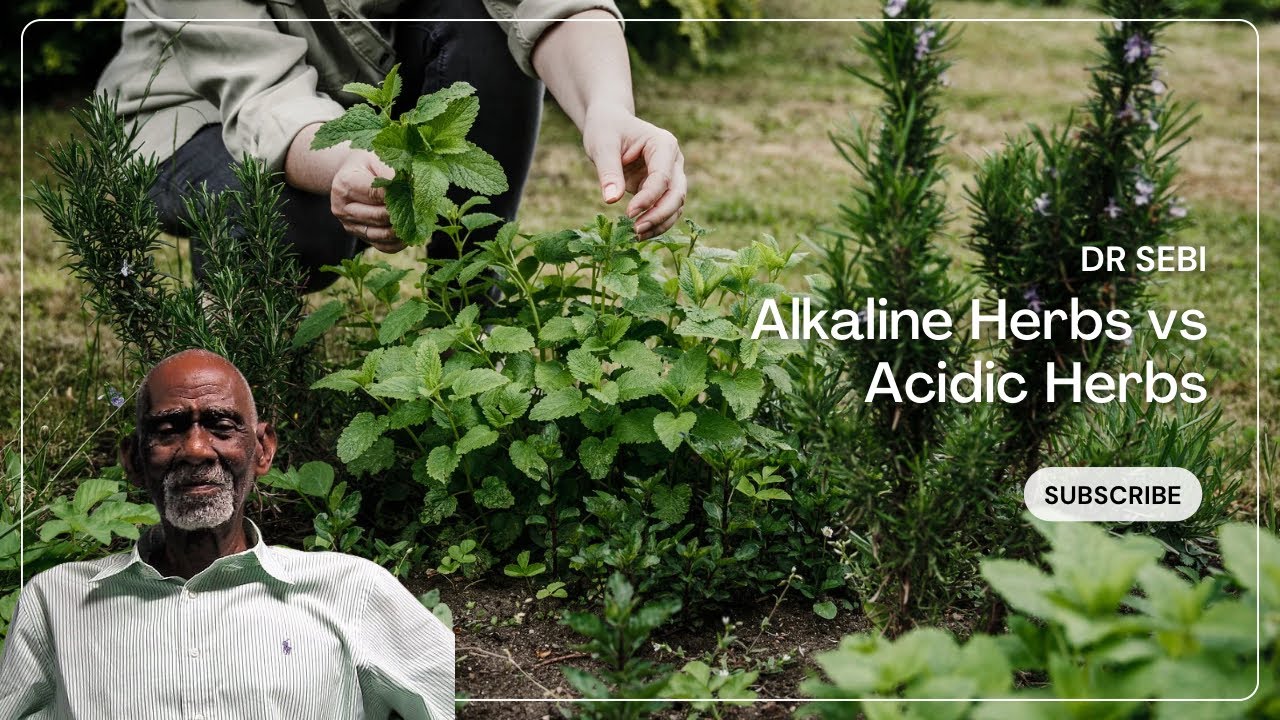 Dr. Sebi - Acidic Herbs vs Alkaline Herbs