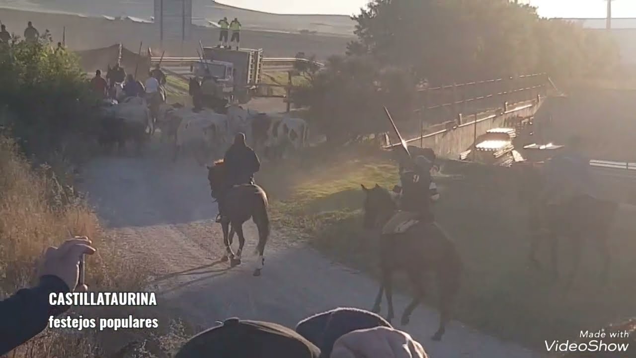 CUELLAR (SEGOVIA). EMOCIONANTE Y PELIGROSO ENCIERRO POR SAN MIGUEL 30-9-2023