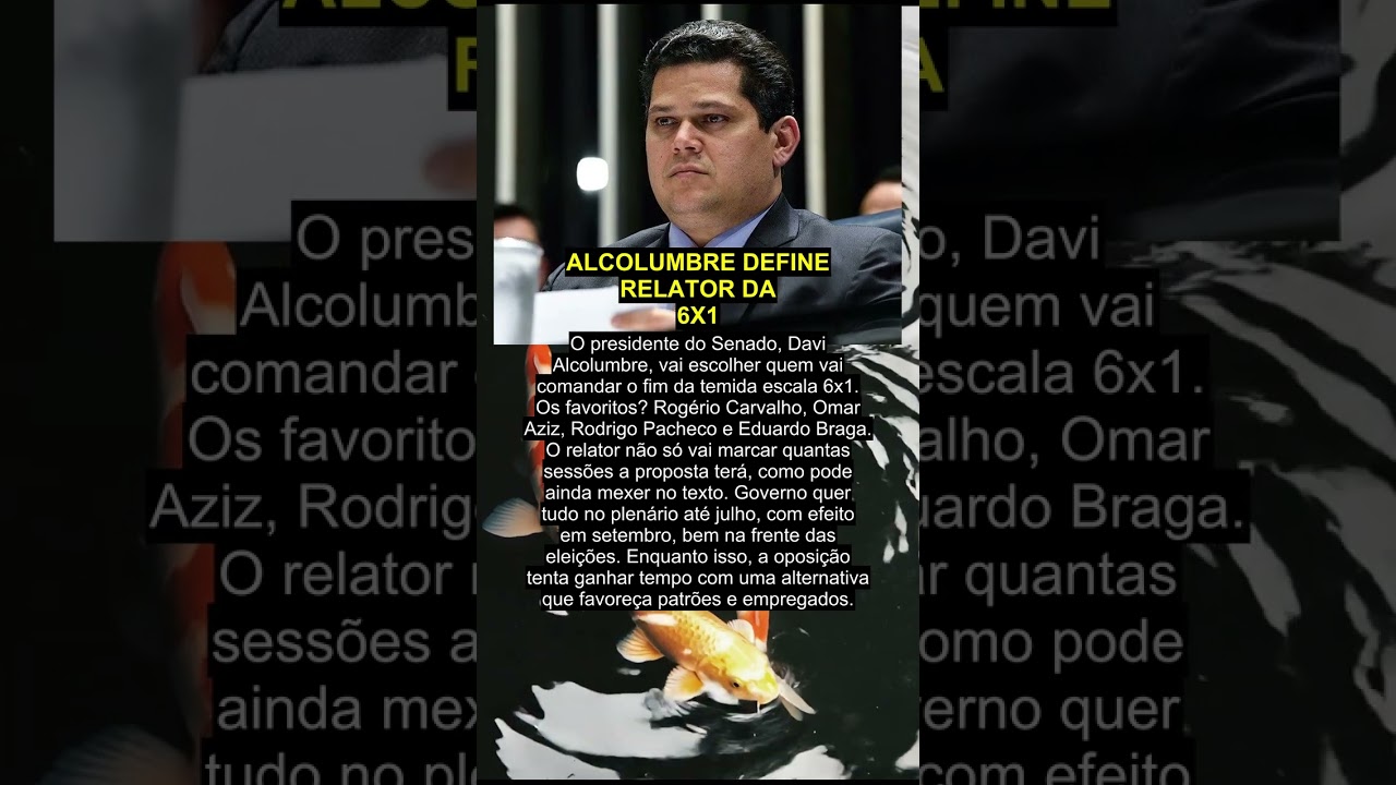 ALCOLUMBRE DEFINE RELATOR DA 6X1