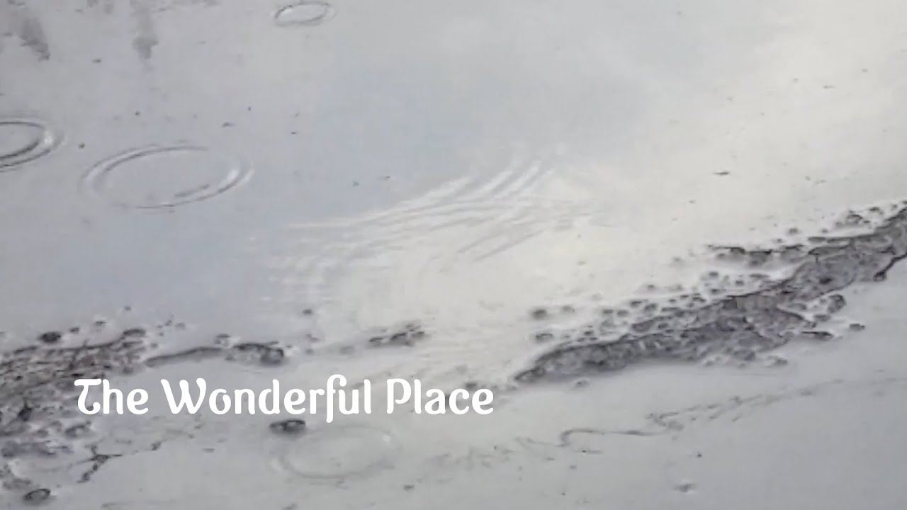 Les Wilmer - The Wonderful Place