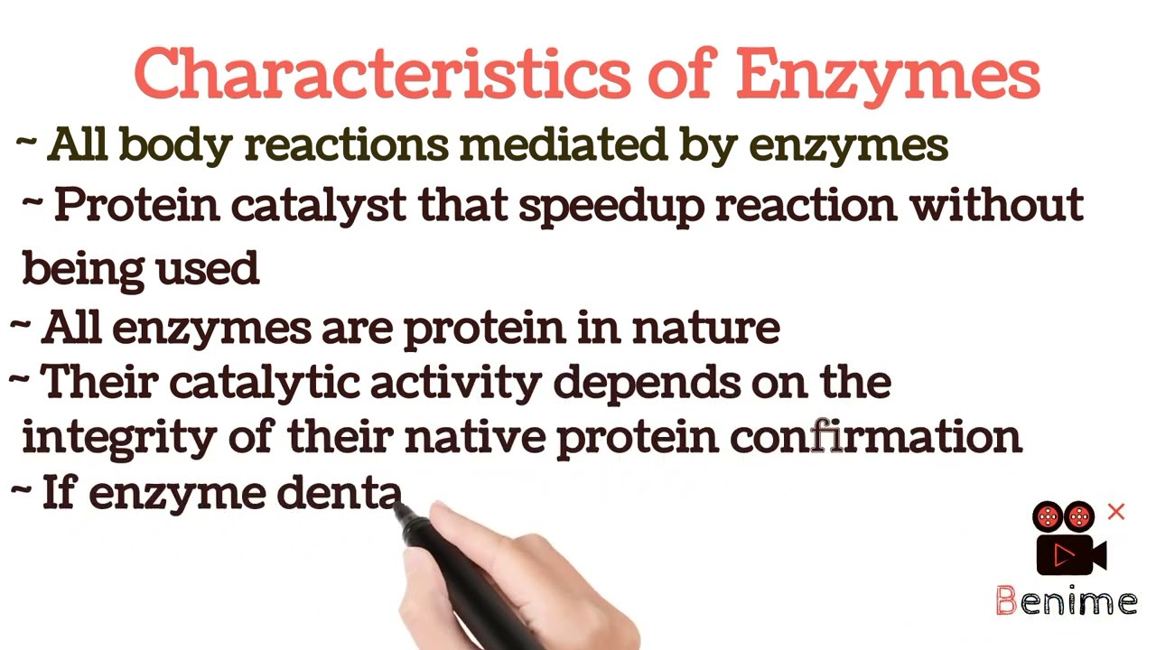 Enzyme | Definition of Enzyme | Characteristics of Enzyme | 