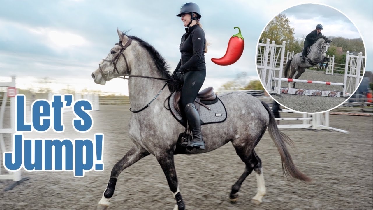 Spicy Kiki Goes Showjumping Arena Hire!!