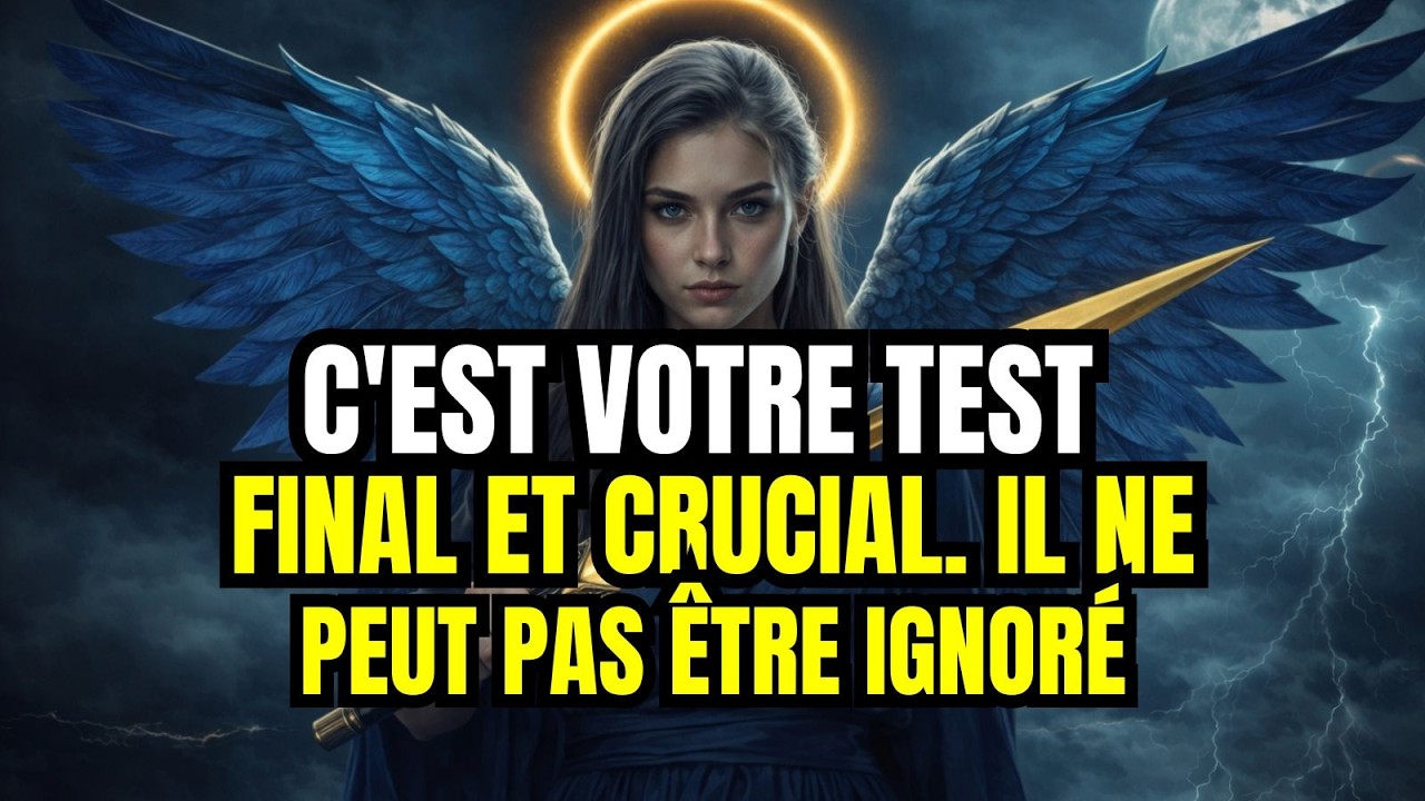 ÉLUS : CE TEST FINAL EST NON NÉGOCIABLE. TANT QUE VOUS NE LE RÉUSSIREZ PAS, RIEN NE BOUGERA !