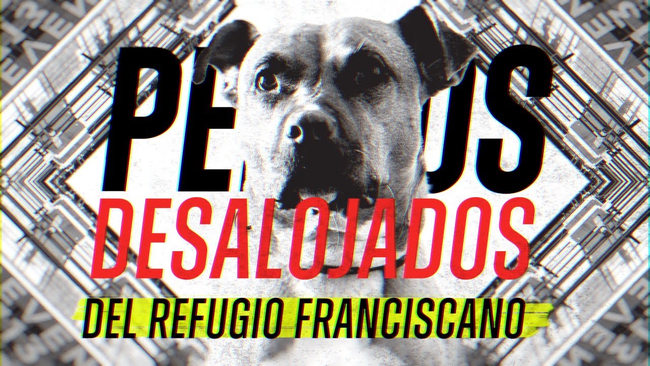 ¿Por qué ordenó Clara Brugada el desalojo del Refugio Franciscano? Habla su representante legal.