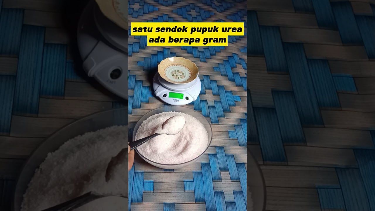 satu sendok pupuk urea ada berapa gram