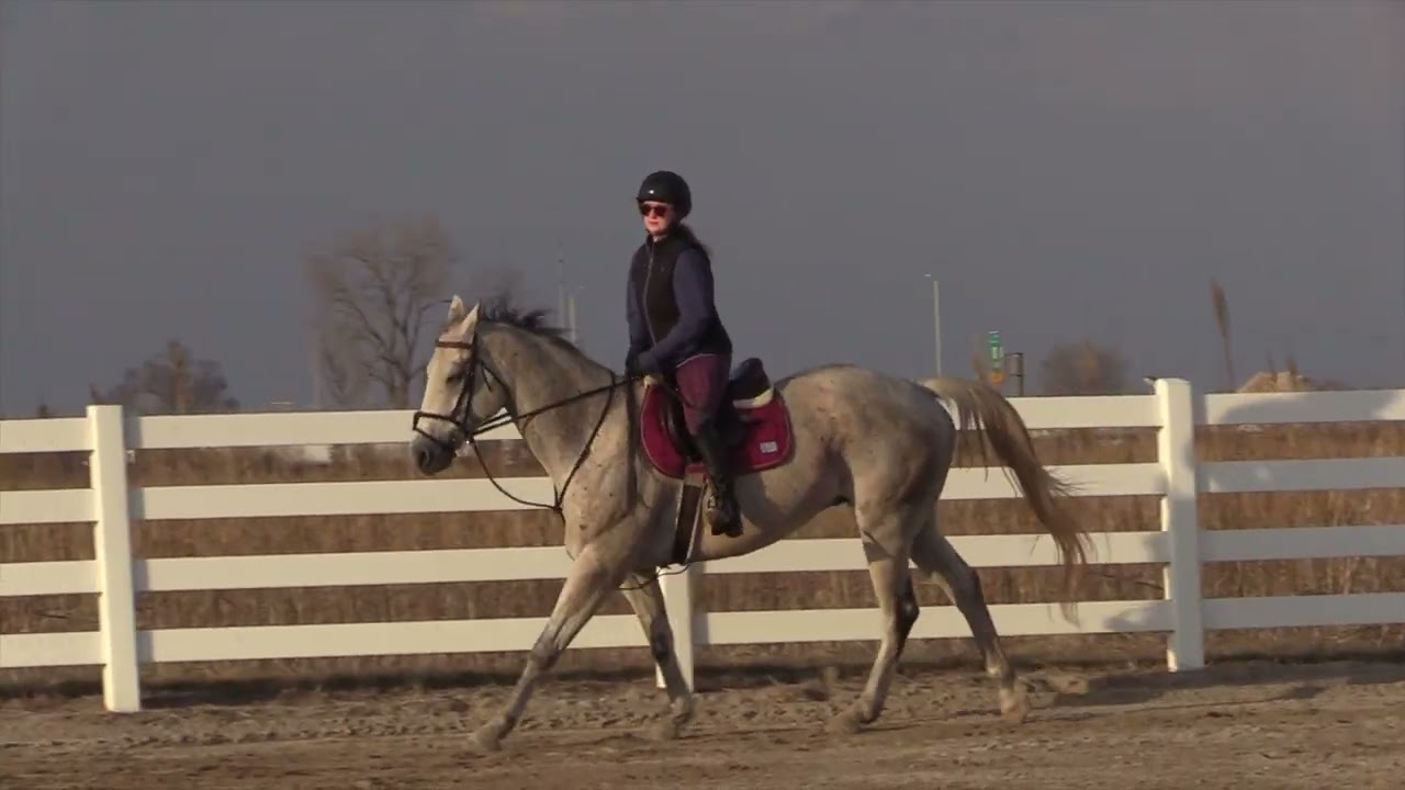 Mouse Lessons 2-19-2026 Part I