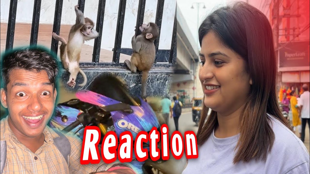 Modified R15 ত Full Day Rapido 😍 || Crazy Reaction and Earning 💸🤑