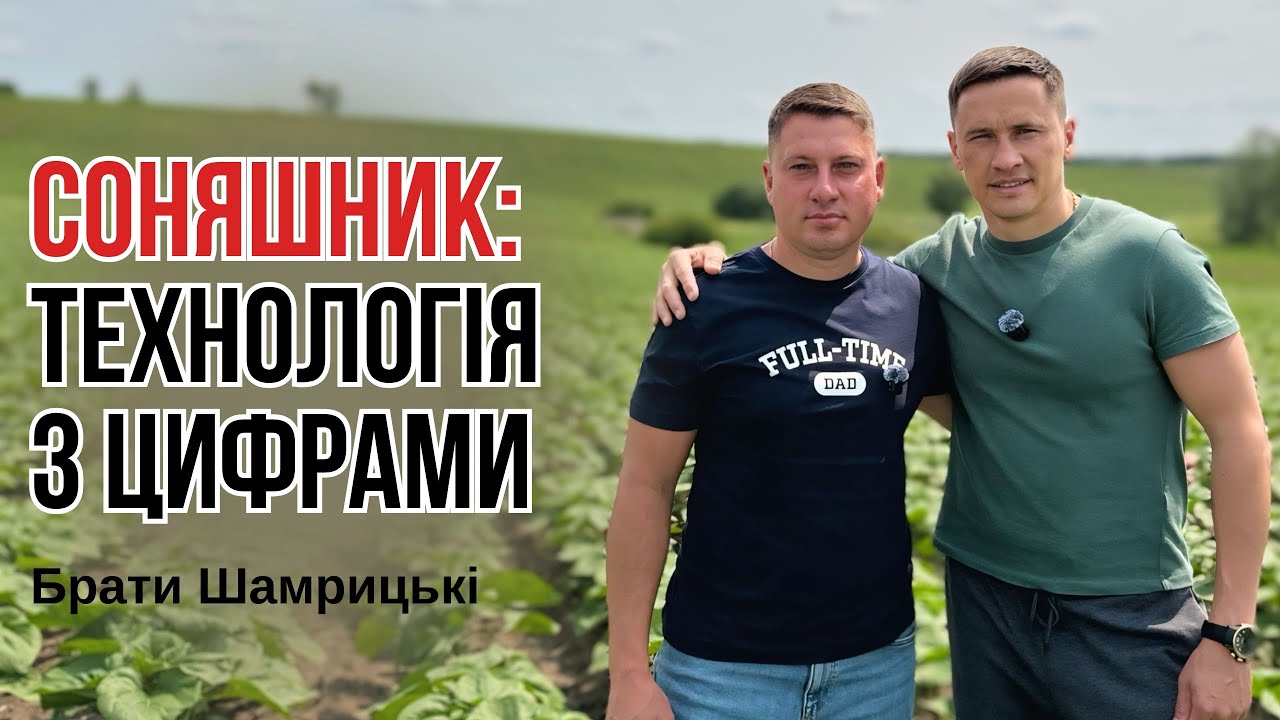 Соняшник 2025: технологія,собівартість вирощування- детальний розбір