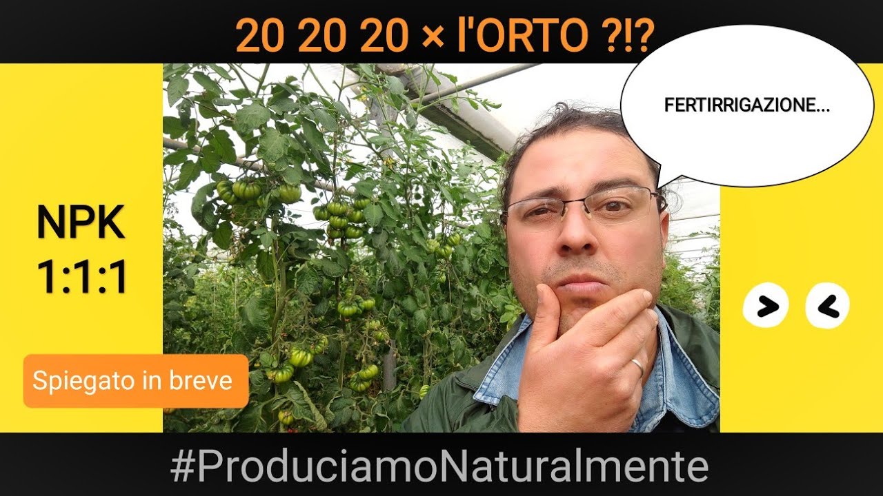 Orto | il concime NPK 20 20 20 è buono per tutte le coltivazioni?