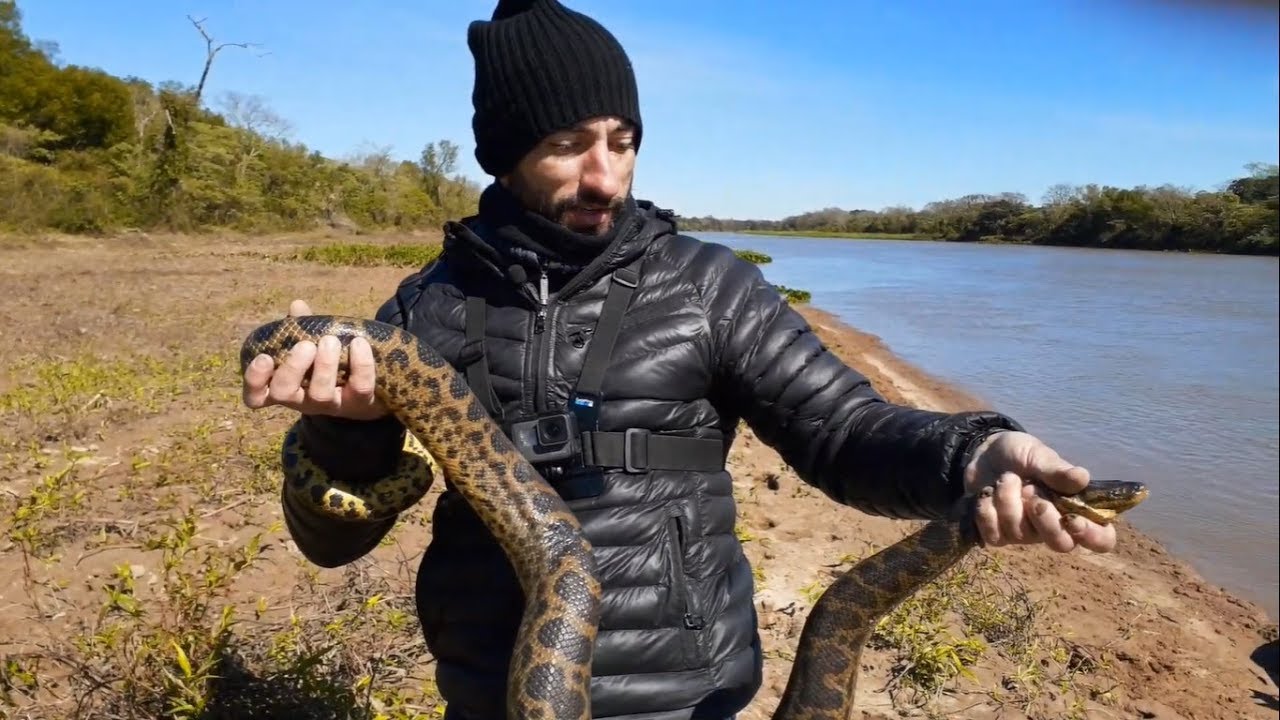 Pesca de dorados, cocina, víboras, yacaré en Reconquista Santa Fe, PESCA URBANA