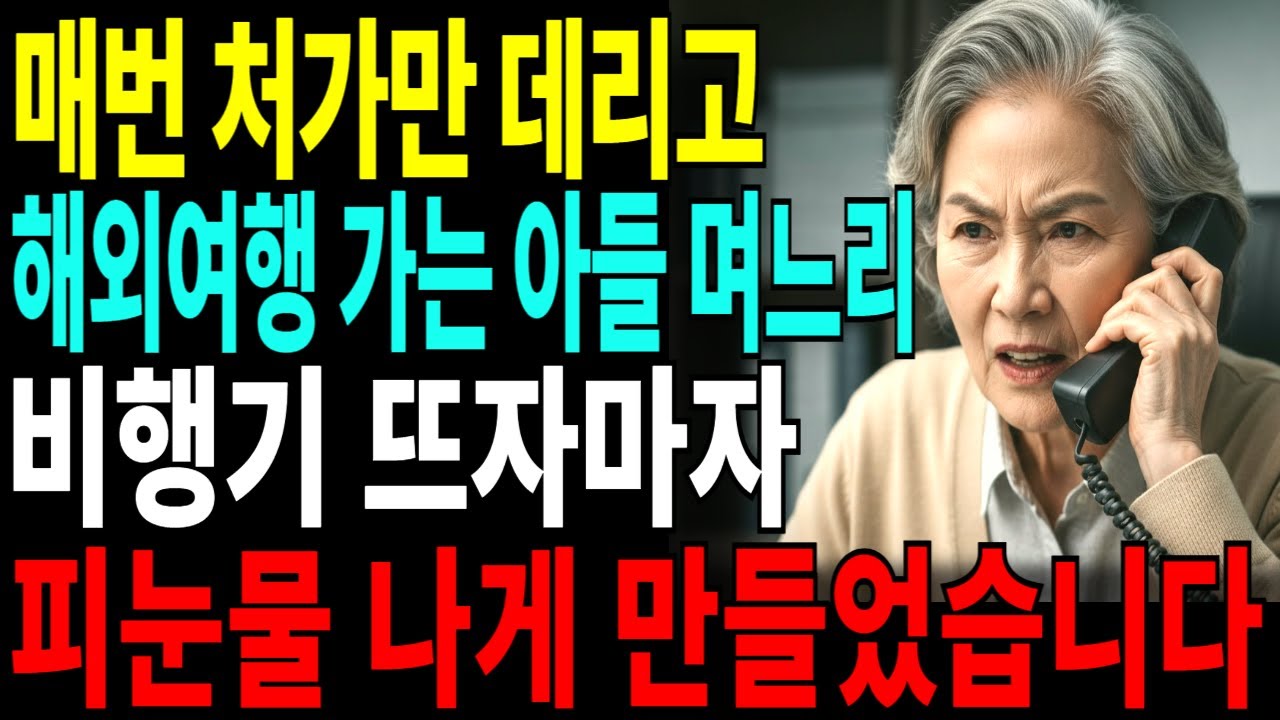 매번 처가만 데리고 해외여행 가는 아들 며느리 비행기 뜨자마자 피눈물 나게 만들었습니다[고부사연] [인생사연] [오디오북] [드라마] [고부갈등] [황혼] [노후] [사이다썰]