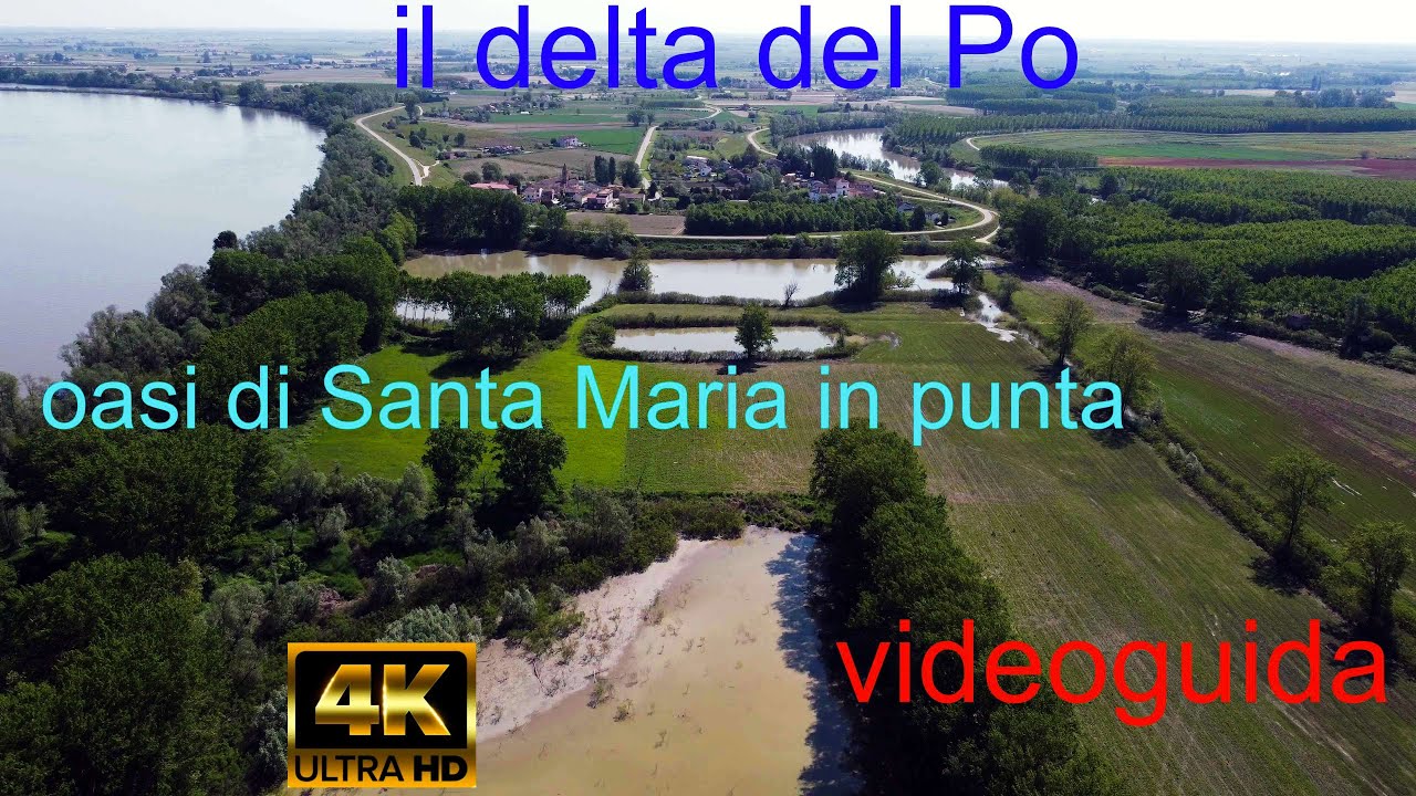 Italy - il delta del Po " Oasi di Santa Maria" (videoguida) località Santa maria in punta