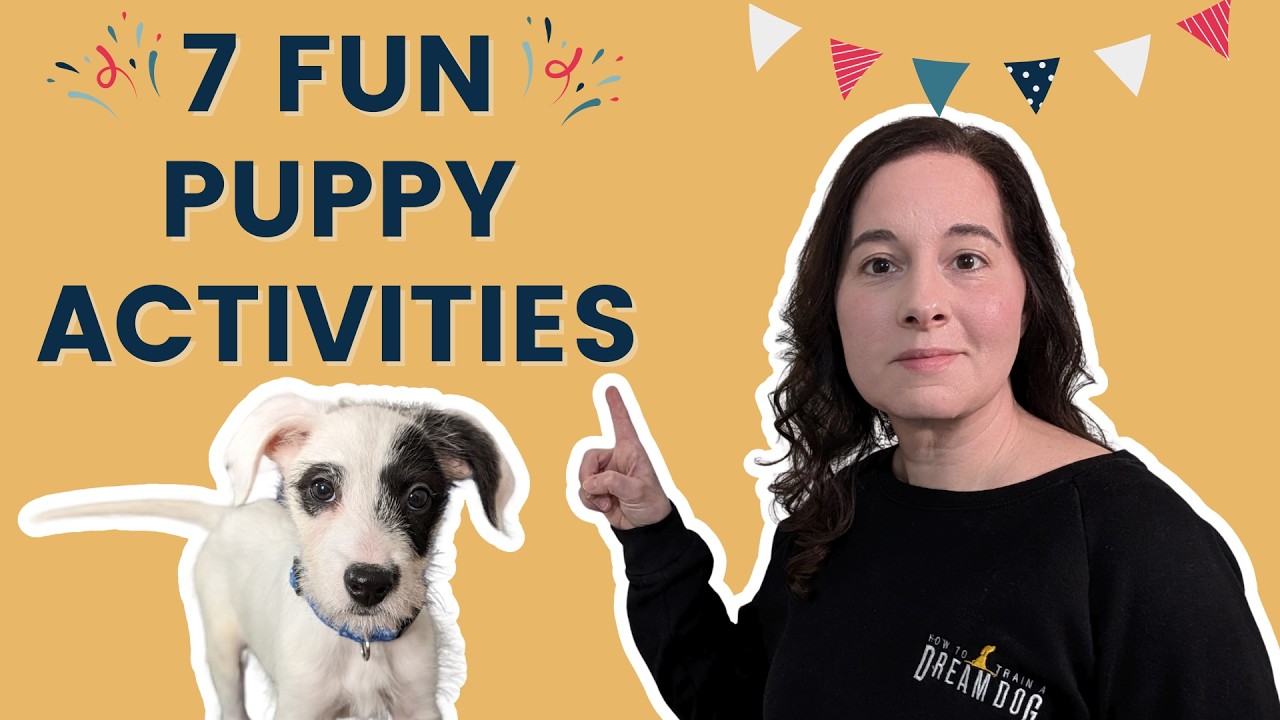 Beat Puppy Boredom – 7 Fun Exercise Tips You Need