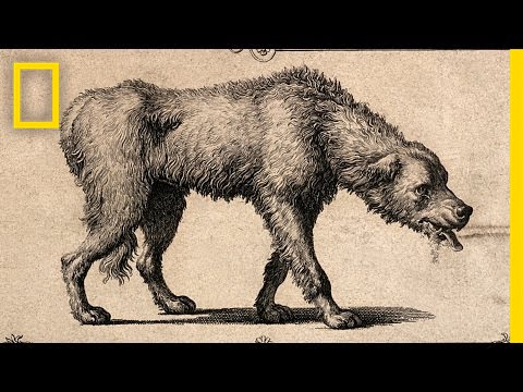 Crazy History Lesson: How the Rabies Vaccine Came to Be | National Geographic