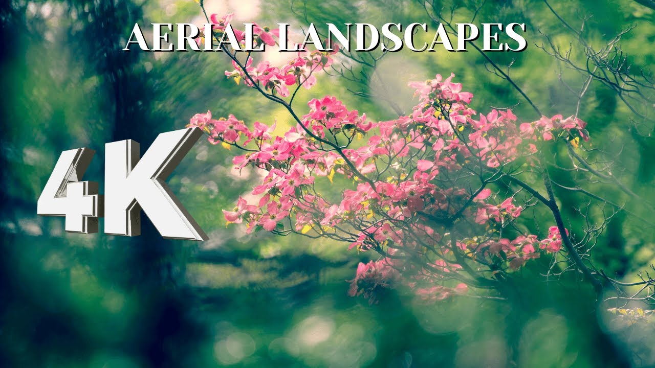 Soothing 4K Flute Music for Inner Peace | Stress Relief & Relaxation