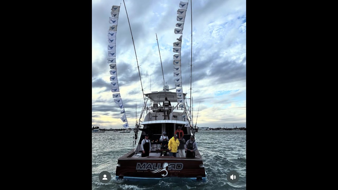 Epic Kite Fishing Day off Palm Beach With the Men That Fought for Our Freedom