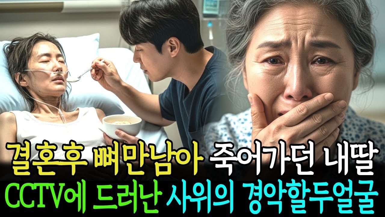 섣달그믐날 며느리 쫓아내고 깡패 시켜 유산시킨 시어머니, 다음날 제 100억 대저택 앞에서 떡국 한 그릇 구걸하며 무릎 꿇었습니다